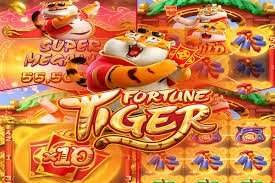 577 apk sports and casino-style entertainment overview for Bangladesh readers